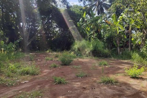 400m2 Land in Tabanan, Indonesia No. 13351 10