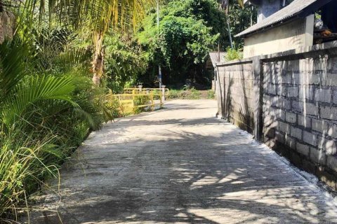 400m2 Land in Tabanan, Indonesia No. 13351