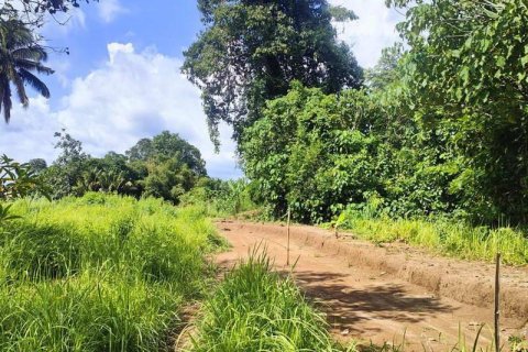 400m2 Land in Tabanan, Indonesia No. 13351 6