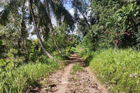400m2 Land in Tabanan, Indonesia No. 13351 19