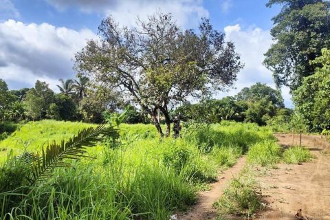400m2 Land in Tabanan, Indonesia No. 13351 3