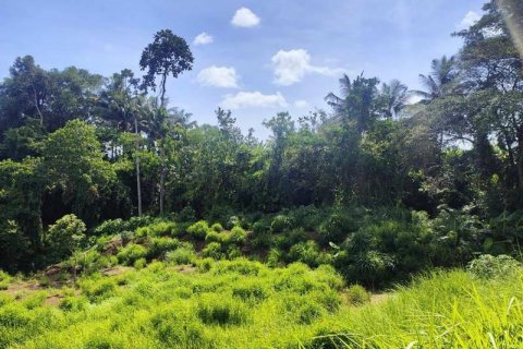 400m2 Land in Tabanan, Indonesia No. 13351 11