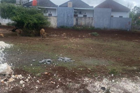 200m2 Land in South Kuta, Badung, Indonesia No. 13349 9