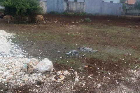 200m2 Land in South Kuta, Badung, Indonesia No. 13349 8