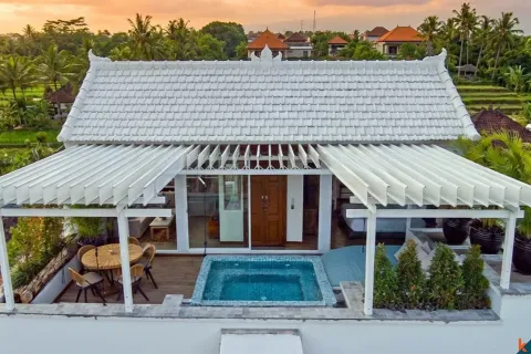 Вилла с 1 спальней в Seminyak, Бадунг, Индонезия № 10463 5