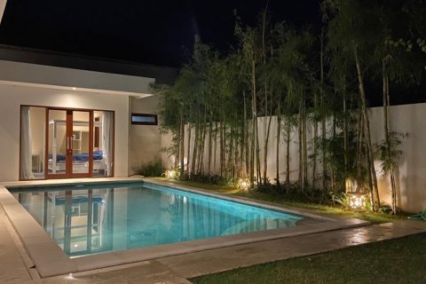 2 bedrooms Villa in Badung, Indonesia No. 11519 5