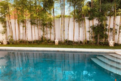 2 bedrooms Villa in Badung, Indonesia No. 11519 12