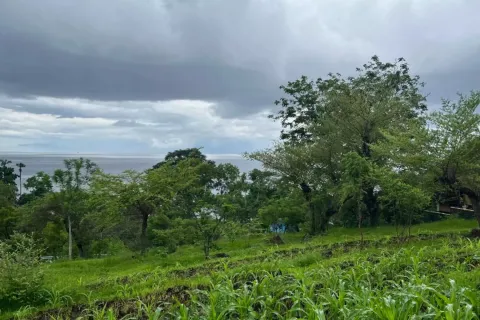 Земельный участок в Karangasem, Карангасем, Индонезия № 10989 3
