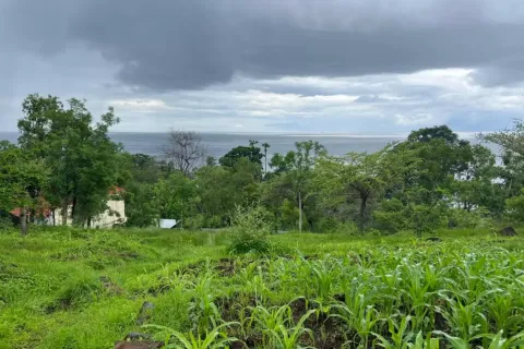 Земельный участок в Karangasem, Карангасем, Индонезия № 10989 5