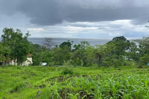 Земельный участок в Karangasem, Карангасем, Индонезия № 10989 2