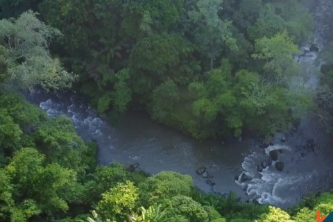 2 bedrooms Villa in Mengwi, Badung, Indonesia No. 11345 11