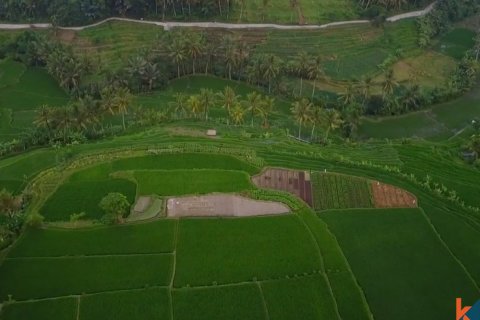 2 bedrooms Villa in Mengwi, Badung, Indonesia No. 11345 7