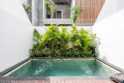 2 bedrooms Villa in Denpasar, Indonesia No. 10649 3