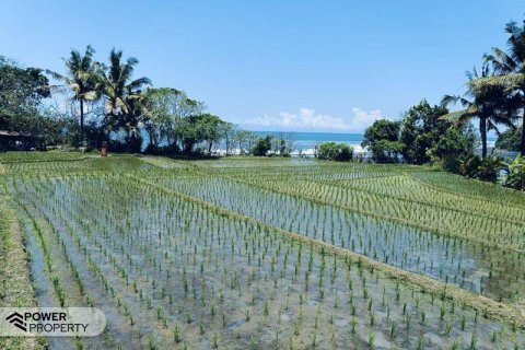 2630m2 Land in Tabanan, Indonesia No. 8850 5