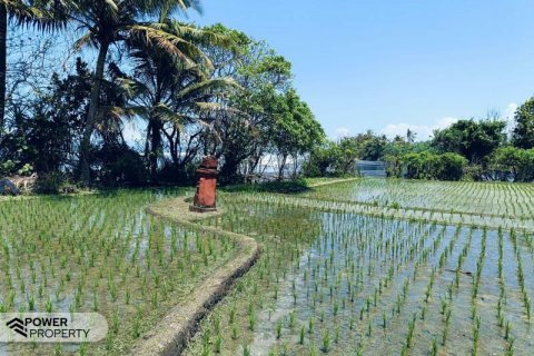 2630m2 Land in Tabanan, Indonesia No. 8850 9