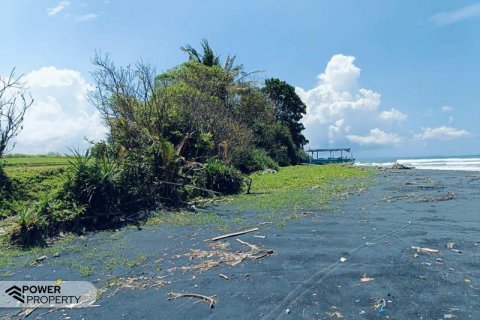 2630m2 Land in Tabanan, Indonesia No. 8850 2
