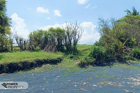 2630m2 Land in Tabanan, Indonesia No. 8850 8