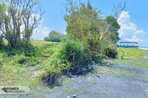 2630m2 Land in Tabanan, Indonesia No. 8850 1