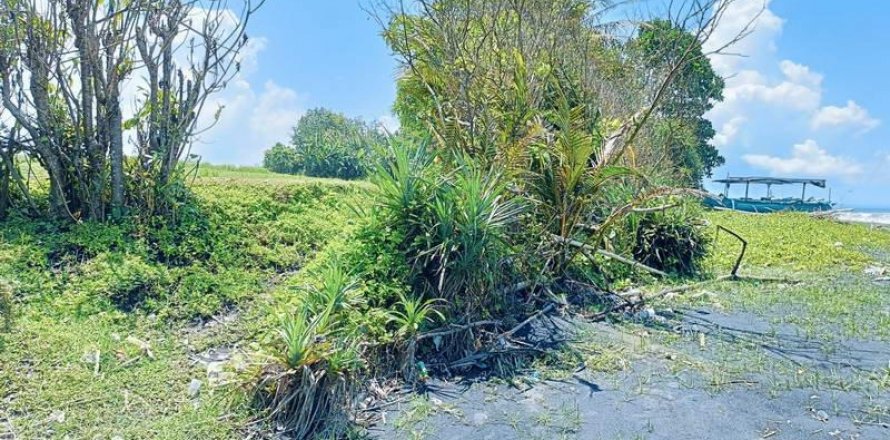 2630m2 Land in Tabanan, Indonesia No. 8850