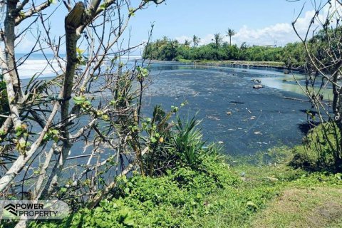 2630m2 Land in Tabanan, Indonesia No. 8850 3
