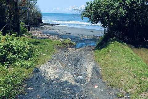 2630m2 Land in Tabanan, Indonesia No. 8850 6