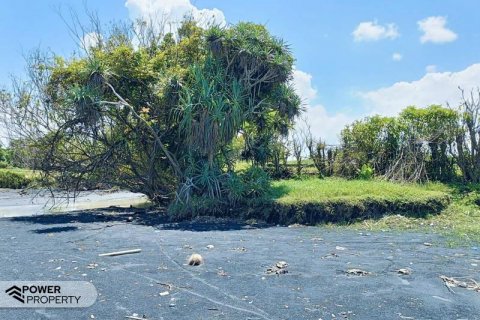 2630m2 Land in Tabanan, Indonesia No. 8850 4