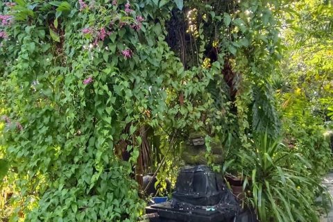 Земельный участок 425м2 в Canggu, Бадунг, Индонезия № 8862 1
