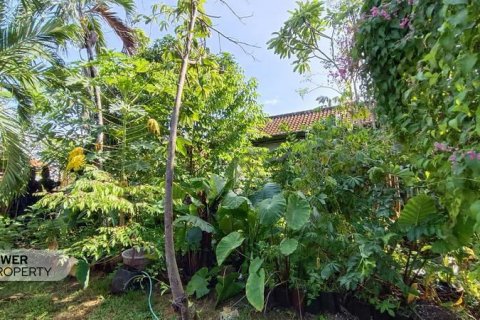 Земельный участок 425м2 в Canggu, Бадунг, Индонезия № 8862 2