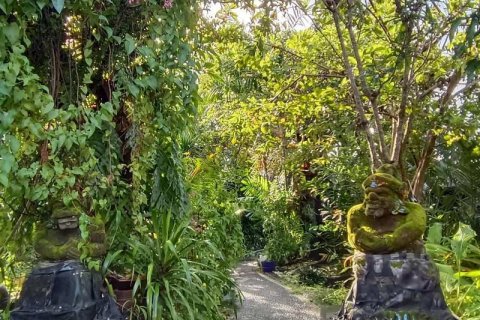 Земельный участок 425м2 в Canggu, Бадунг, Индонезия № 8862 3