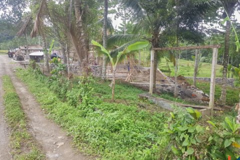 Land in Tabanan, Indonesia No. 13534 3