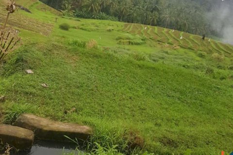 Land in Tabanan, Indonesia No. 13534 9