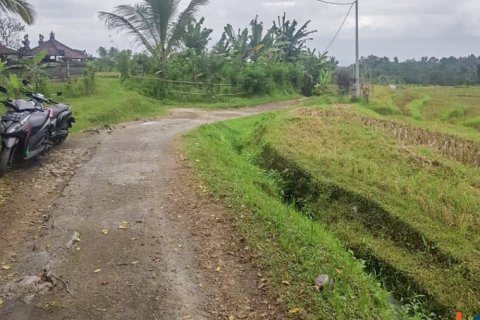 Land in Tabanan, Indonesia No. 13534 6