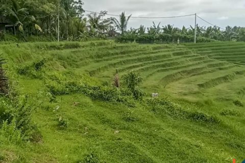 Land in Tabanan, Indonesia No. 13534 2