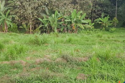 Land in Tabanan, Indonesia No. 13534 7