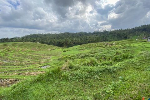 Land in Tabanan, Indonesia No. 13534