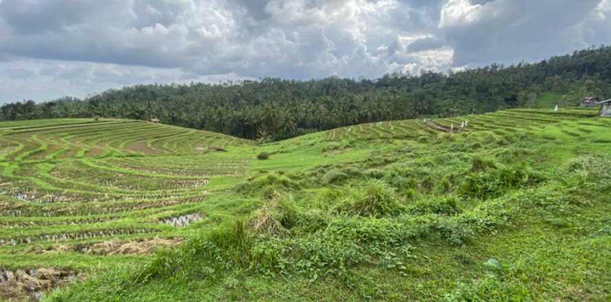 Land in Tabanan, Indonesia No. 13534