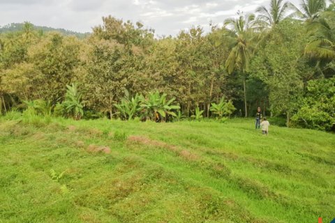 Land in Tabanan, Indonesia No. 13534 4