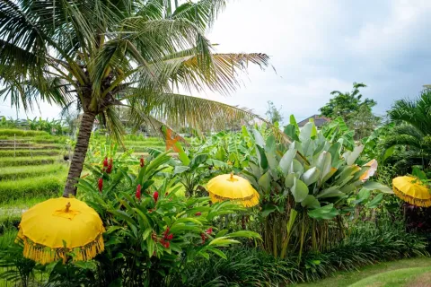 5 bedrooms Villa in Canggu, Badung, Indonesia No. 12577 18