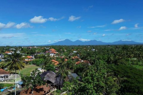 4 bedrooms Villa in Ubud, Gianyar,  No. 9010 17