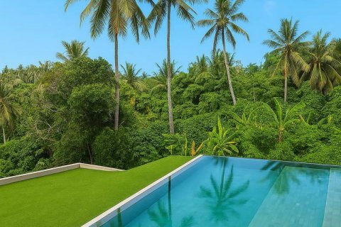 4 bedrooms Villa in Ubud, Gianyar,  No. 9010 6