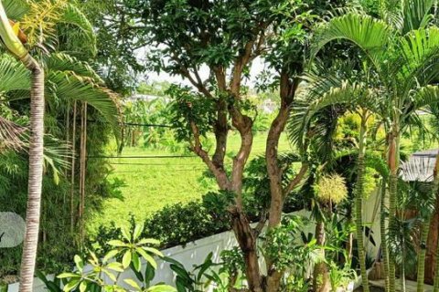3 bedrooms Villa in Canggu, Badung,  No. 9043 9