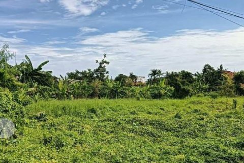 3 bedrooms Villa in Canggu, Badung,  No. 9043 19