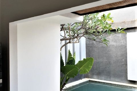 2 bedrooms Villa in Kerobokan, Badung, Indonesia No. 13092 9