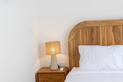 3 bedrooms Villa in Canggu, Badung,  No. 9133 3