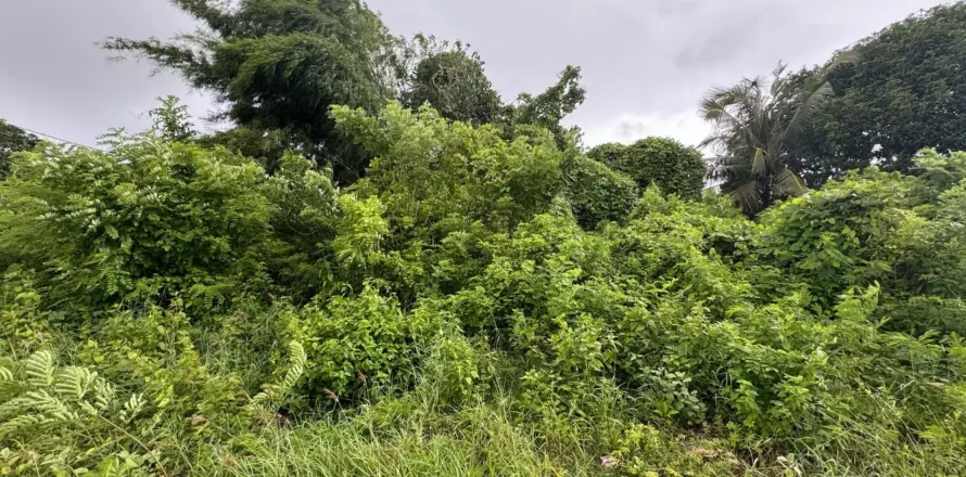 Land in Kuta, Badung, Indonesia No. 10926