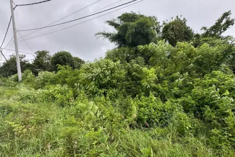Land in Kuta, Badung, Indonesia No. 10926 4