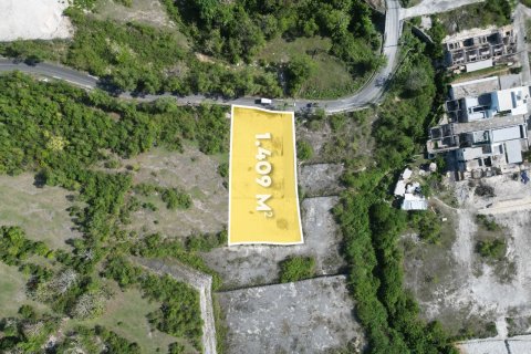 1409m2 Land in Ungasan, Badung, Indonesia No. 13487 2