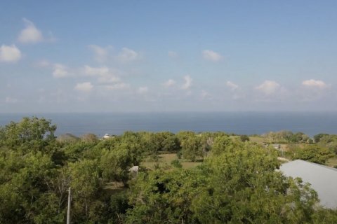 2500m2 Land in South Kuta, Badung, Indonesia No. 13484 8