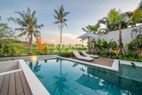 2 bedrooms Villa in Tumbak Bayuh, Mengwi, Badung, Indonesia No. 12971