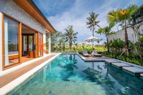 2 bedrooms Villa in Tumbak Bayuh, Mengwi, Badung, Indonesia No. 12971 2